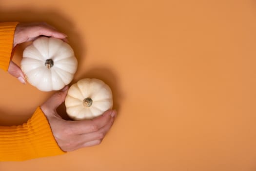 Two small decorative pumpkins in a woman's hands in a sweater top view on an orange background with copy space.