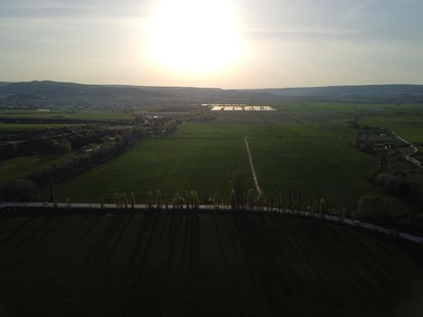 Green wheat field in countryside, close up. Field of wheat blowing in the wind at sunny spring day. Young and green Spikelets. Ears of barley crop in nature. Agronomy, industry and food production
