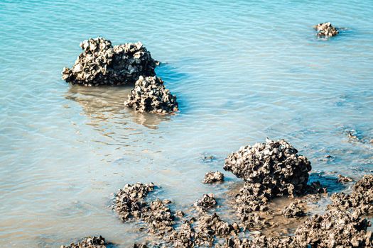 Beach rock horizon scenics Calm sea blue water ocean  blue sky