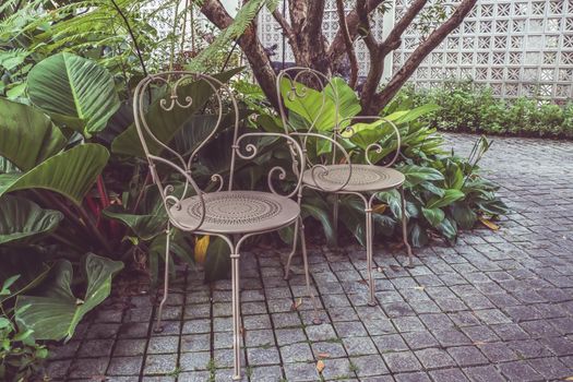 Cast iron steel chair furniture in Green nature of Fern and trees in tropical garden.