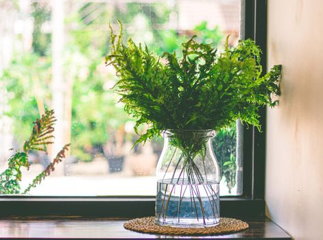 Green Fern Leaves In Glass Vase decorate next glass window