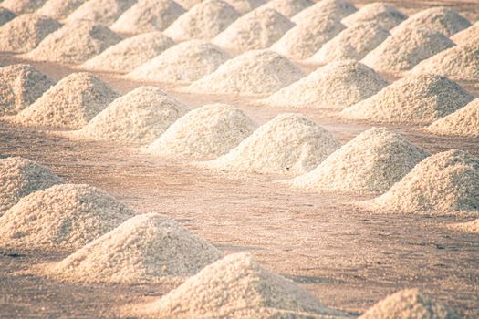Samut Songkhram Salt Farms in