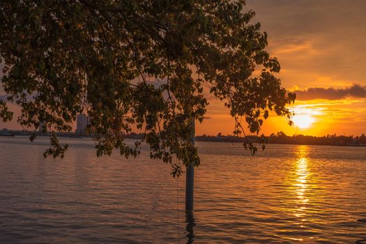 Silhouette of tree at sunset. Golden sun sunset reflect on surface of water