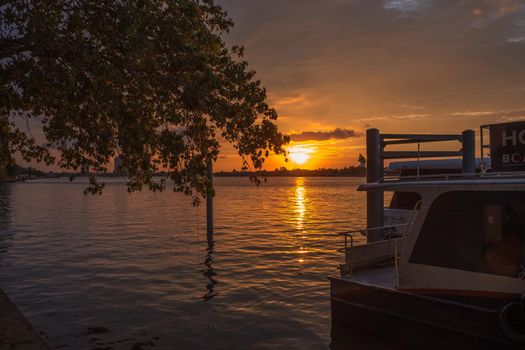 Silhouette of tree at sunset. Golden sun sunset reflect on surface of water