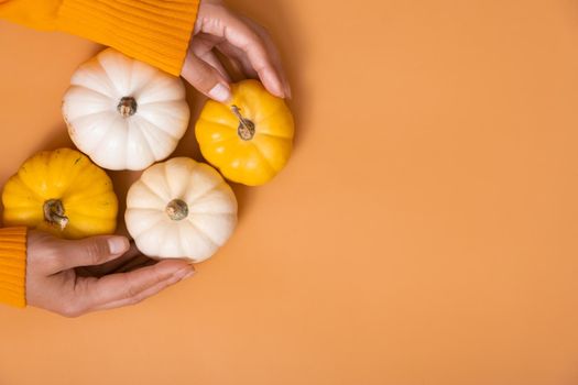 A small decorative pumpkins in a woman's hand in a sweater on an orange background.