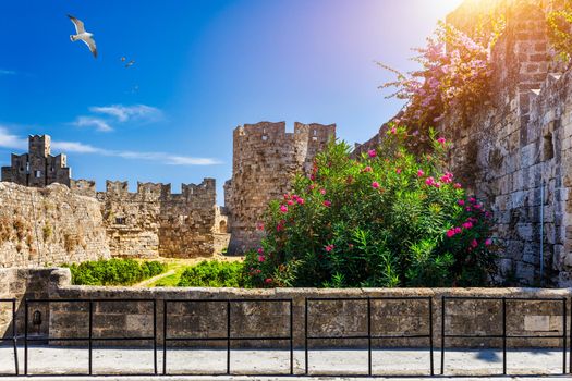 Medieval arched street in the old town of Rhodes, Greece. Rhodes old town in Rhodes island in Greece. Historical streets of old town Rhodes with flowers in Rhodes, Dodecanese, Greece