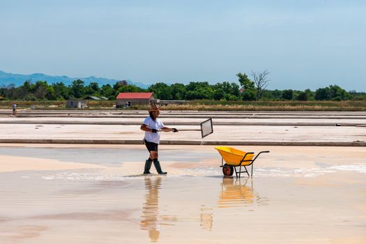 Nin, Croatia - 8 July 2021: Man picking up salt in the swamp and filling the wheelbarrow. Salt farmer harvesting the salt. Sea salt is salt that is produced by the evaporation of seawater.