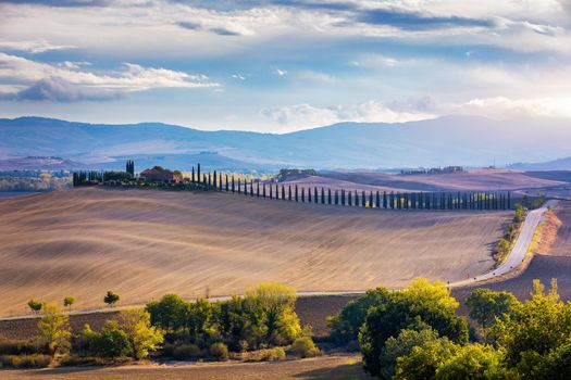Well known Tuscany landscape with grain fields, cypress trees and houses on the hills at sunset. Summer rural landscape with curved road in Tuscany, Italy, Europe