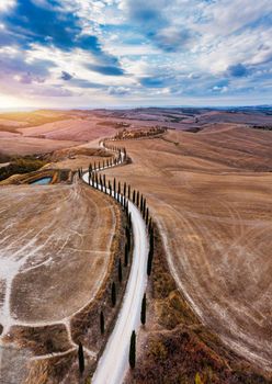 Well known Tuscany landscape with grain fields, cypress trees and houses on the hills at sunset. Summer rural landscape with curved road in Tuscany, Italy, Europe