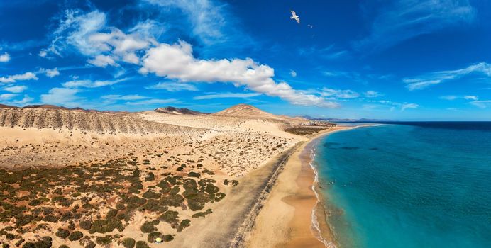 View on the beach Sotavento with golden sand and crystal sea water of amazing colors on Costa Calma on the Canary Island Fuerteventura, Spain. Beach Playa de Sotavento, Canary Island, Fuerteventura.
