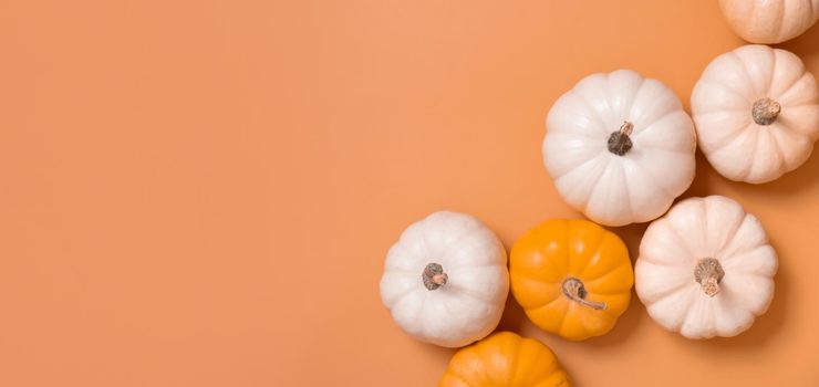 Banner with group of decorative pumpkins top view on orange background. Autumn flat lay.