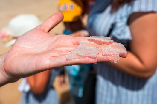 Flower of salt, is a salt that forms as a thin, delicate crust on the surface of seawater in the hand of a women, freshly collected from the salt field. Flower of sea salt crystals isolated on hand.