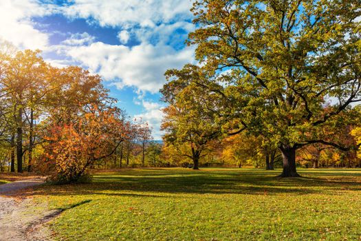 Golden autumn scene in a park, with falling leaves, the sun shining through the trees and blue sky. Colorful foliage in the park, falling leaves natural background