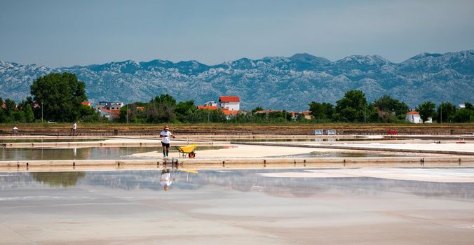Nin, Croatia - 8 July 2021: Man picking up salt in the swamp and filling the wheelbarrow. Salt farmer harvesting the salt. Sea salt is salt that is produced by the evaporation of seawater.