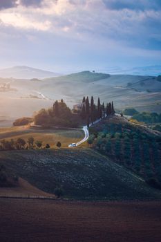 Hills, olive gardens and small vineyard under rays of morning sun, Italy, Tuscany. Famous Tuscany landscape with curved road and cypress, Italy, Europe