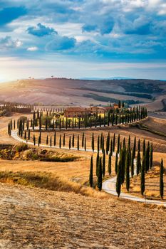 Hills, olive gardens and small vineyard under rays of morning sun, Italy, Tuscany. Famous Tuscany landscape with curved road and cypress, Italy, Europe