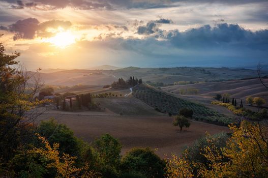 Well known Tuscany landscape with grain fields, cypress trees and houses on the hills at sunset. Summer rural landscape with curved road in Tuscany, Italy, Europe