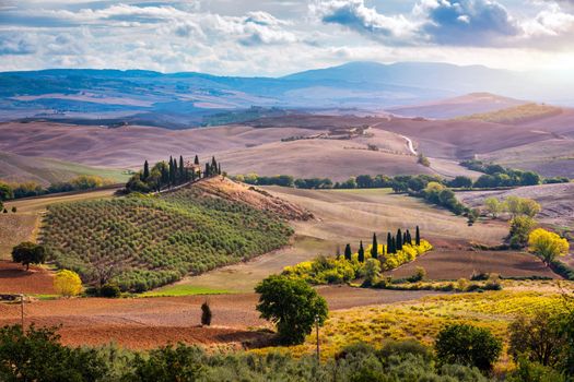 Well known Tuscany landscape with grain fields, cypress trees and houses on the hills at sunset. Summer rural landscape with curved road in Tuscany, Italy, Europe