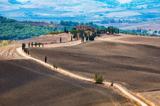 Well known Tuscany landscape with grain fields, cypress trees and houses on the hills at sunset. Summer rural landscape with curved road in Tuscany, Italy, Europe