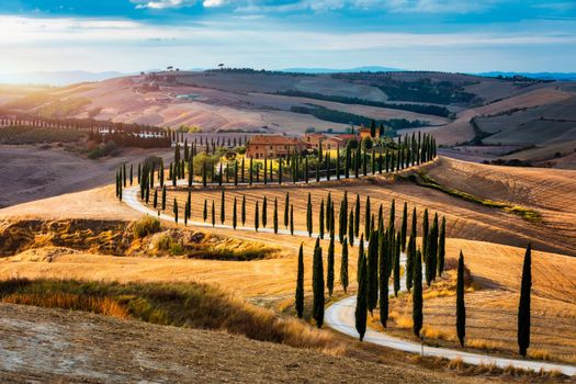 Well known Tuscany landscape with grain fields, cypress trees and houses on the hills at sunset. Summer rural landscape with curved road in Tuscany, Italy, Europe