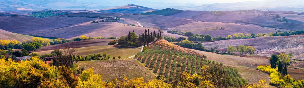 Well known Tuscany landscape with grain fields, cypress trees and houses on the hills at sunset. Summer rural landscape with curved road in Tuscany, Italy, Europe