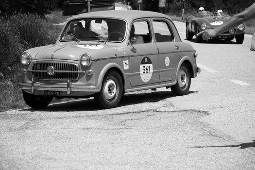 URBINO - ITALY - JUN 16 - 2022 : FIAT 1100/103 BERLINA 1956 on an old racing car in rally Mille Miglia 2022 the famous italian historical race (1927-1957