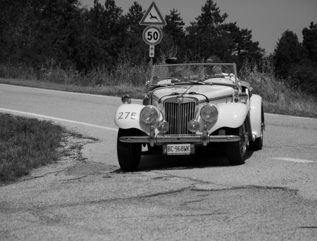 URBINO - ITALY - JUN 16 - 2022 : MG TF 1250 1953 on an old racing car in rally Mille Miglia 2022 the famous italian historical race (1927-1957