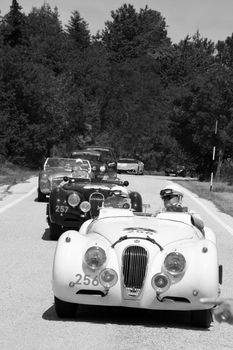 URBINO - ITALY - JUN 16 - 2022 : JAGUAR XK120 OTS ROADSTER 1953 on an old racing car in rally Mille Miglia 2022 the famous italian historical race (1927-1957