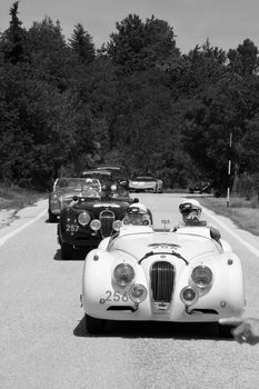 URBINO - ITALY - JUN 16 - 2022 : JAGUAR XK120 OTS ROADSTER 1953 on an old racing car in rally Mille Miglia 2022 the famous italian historical race (1927-1957