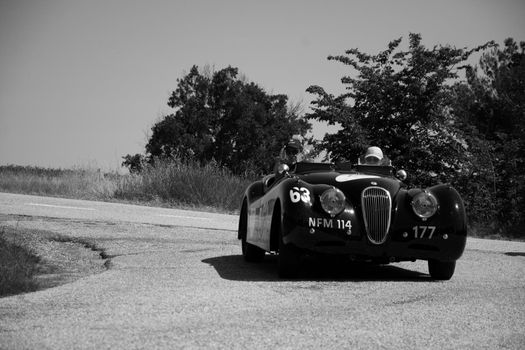 URBINO - ITALY - JUN 16 - 2022 : JAGUAR XK120 OTS ROADSTER 1950 on an old racing car in rally Mille Miglia 2022 the famous italian historical race (1927-1957