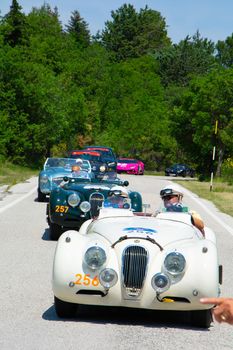 URBINO - ITALY - JUN 16 - 2022 : JAGUAR XK120 OTS ROADSTER 1953 on an old racing car in rally Mille Miglia 2022 the famous italian historical race (1927-1957