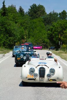 URBINO - ITALY - JUN 16 - 2022 : JAGUAR XK120 OTS ROADSTER 1953 on an old racing car in rally Mille Miglia 2022 the famous italian historical race (1927-1957