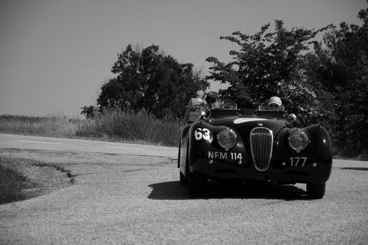 URBINO - ITALY - JUN 16 - 2022 : JAGUAR XK120 OTS ROADSTER 1950 on an old racing car in rally Mille Miglia 2022 the famous italian historical race (1927-1957