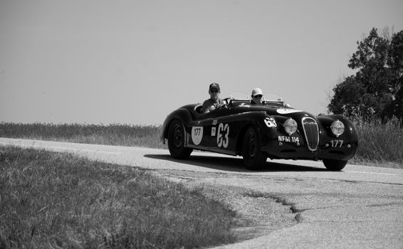 URBINO - ITALY - JUN 16 - 2022 : JAGUAR XK120 OTS ROADSTER 1950 on an old racing car in rally Mille Miglia 2022 the famous italian historical race (1927-1957