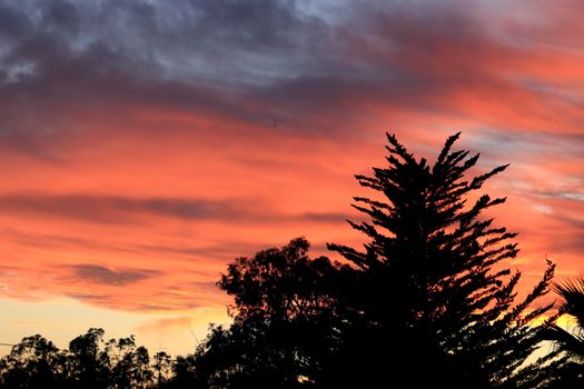 Pink and orange Clouds and lovely sky at Sunset in Alicante in summer