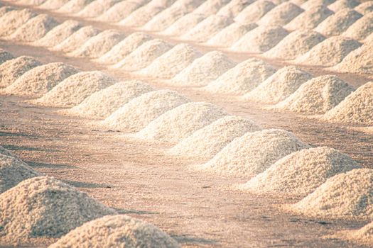 Samut Songkhram Salt Farms in