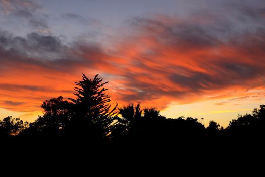 Pink and orange Clouds and lovely sky at Sunset in Alicante in summer