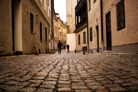 People and a dog walking in a street in an old town in Austria