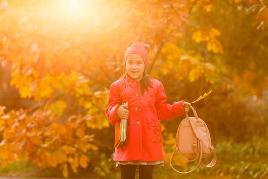 Portrait of a cute little girl posing at the autumn park.