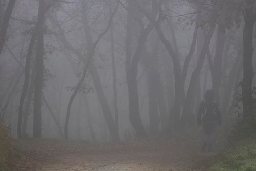 A girl walking in a foggy forest among some trees in winter