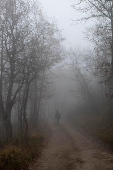 Foggy dark landscape showing some trees and a girl walking on a path