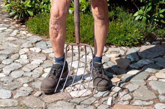 gardener in dirty work clothes and boots holds garden tools, pitchforks, seasonal spring work in the vegetable garden. High quality photo