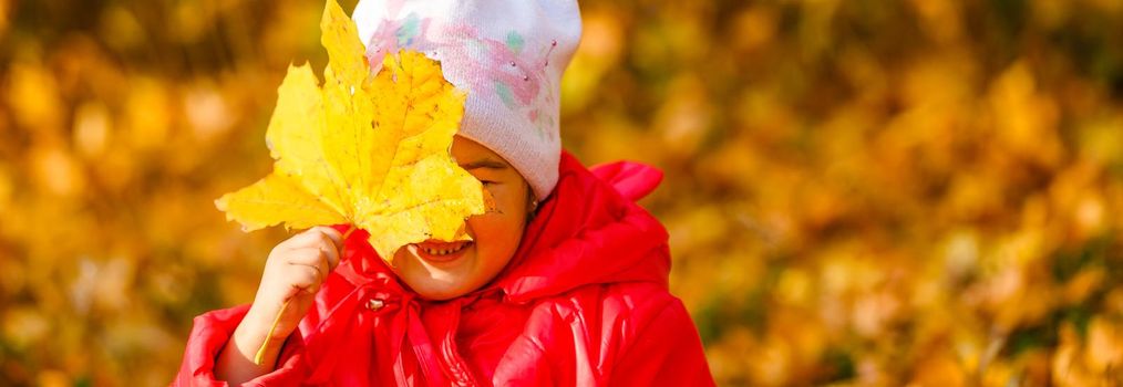 happy little child, baby girl laughing and playing in the autumn on the nature walk outdoors