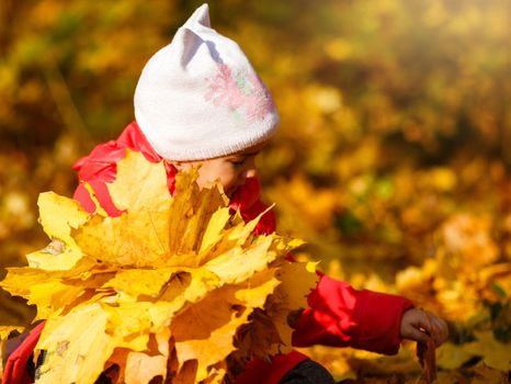 Colorful autumn leaves