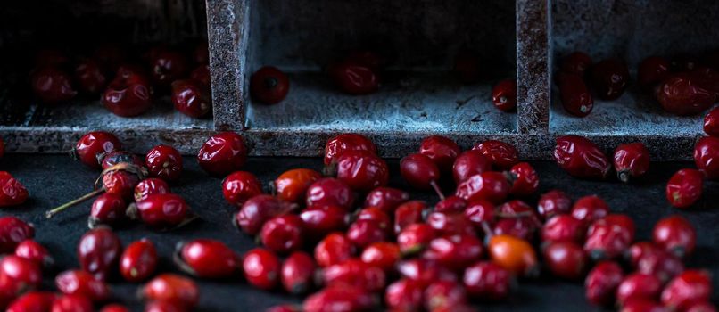 Rosehip in the cup. Benefits and used as a natural remedy. Natural therapy. dark mode style.