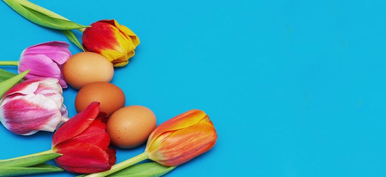 Space for text. Red tulips with natrural eggs on a blue background.