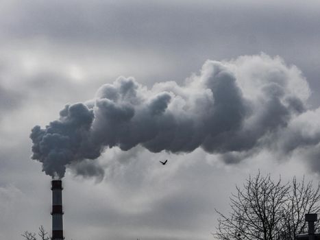 Muddy smoke from the chimney against a background of gray gloomy sky. Gray smoke from the chimney against a background of gloomy sky.