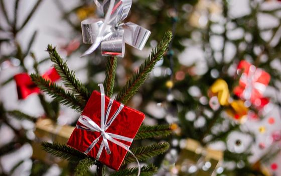 A gift box and a white bow hangs on the Christmas tree. New Year's tree decorated with gift boxes.