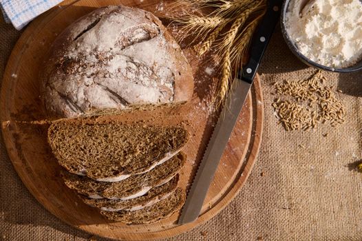 View from above of a homemade whole grain sourdough rye bread, with crumbs while being sliced on a wooden cutting board and spikelets of wheat and scattered cereal grains on the burlap tablecloth.