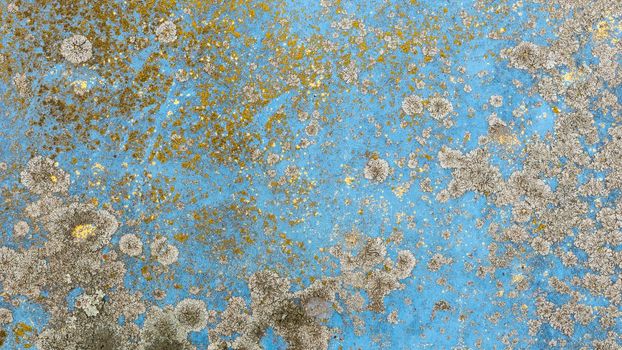 Blue metal surface covered with gray and yellow mold..